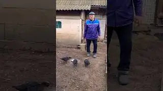 Песня До Слёз 😢 О как остановить бы нам года!! 