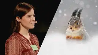 Dani Connor’s Inspiring Story: How Squirrels Made Her a Wildlife Photographer