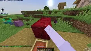 reich smp DUPE (ip in desc)