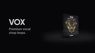 VOX | 70 Premium Vocal Chop Loops | Stickz