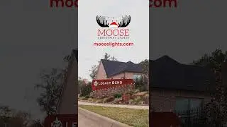 Moose Lights With the Moves 🎄💡🕺🏻