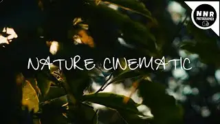 Capturing Cinematic Nature: Photography Tips and Tricks.  #nnrphotographer