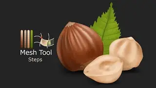 Hazelnut tutorial in Adobe Illustrator for Beginners using gradient mesh Tool