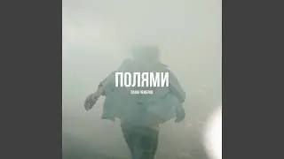 Полями
