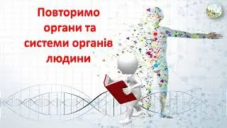 ТІЛО ЛЮДИНИ   Повторюємо органи та системи органів