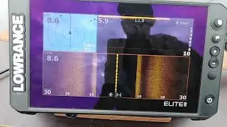 Lowrance Elite FS 9. теряет глубину.