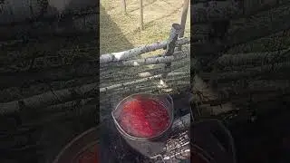 борщ на костре
