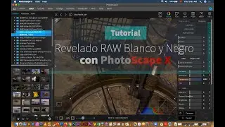 Revelado Blanco y Negro con PhotoScape X