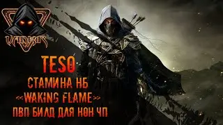 TESO: Стам НБ нонЧП ПВП билд.