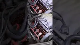 Кытыр кытыр тррррр 