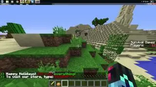 Survival Games 4: FIRESLIME IS BACK