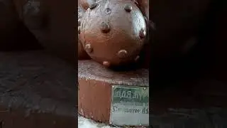 Богатырь
