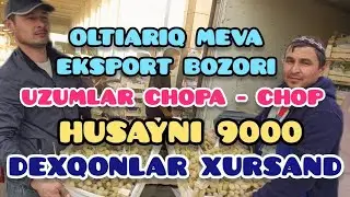 ОЛТИАРИК МЕВА ЭКСПОРТ БОЗОРИ. 2024.01 СЕНТЯБРЬ
