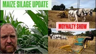 HORSE & BINDER AT MOYNALTY SHOW - MAIZE SILAGE UPDATE - MORE SLURRY