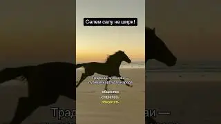 Салем салу