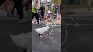 Impossible Pause Game #2 (duck running)