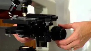 Compund microscope lab demo