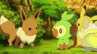 Grookey's apologize