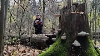 Камень