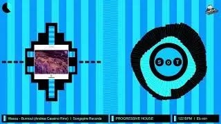 Wassu - Burnout (Andrea Cassino Remix) [PREMIERE] [Progressive House] [Songspire Records]