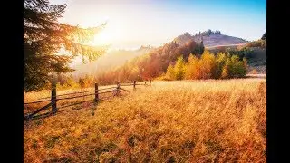 Morning Peace | Angelic Morning Music - 528Hz Morning Meditation Music - Balance - Healing