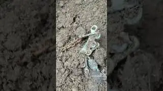 #fypシ