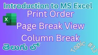 Excel Page Break View / Column Break /  Print order