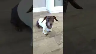 Technology can be frustrating sometimes 