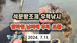 석문방조제 우럭낚시 장마철  날씨에 우럭 조황~