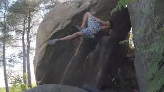 Destruction créatrice - 8A | Fontainebleau, Apremont sanglier