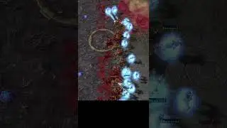 Who wins? 50 Ultralisks vs 100 Archons 