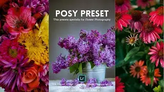 Posy Preset - Flower Photography | Free Lightroom Presets XMP & DNG | Lightroom Tutorial