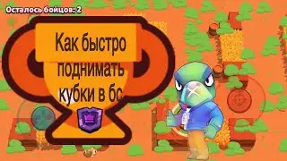 Благодаря этим советам вы почти всегда будете поднимать кубки