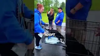 Humanity at its finest 🥺
