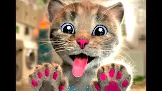 Animated Little Kitten friends Adventure - Preschool and kindergarten learning Cartoon for kids