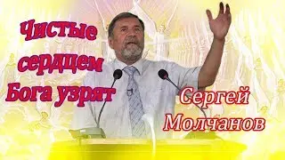 Чистые сердцем Бога узрят | Сергей Молчанов