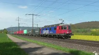Sur la ligne du Bözberg - Eiken - avril 2024