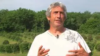 Domaine des Mérigots