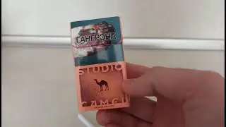 Camel Studio Shisha новинка сигарет.Табак-Инвест.