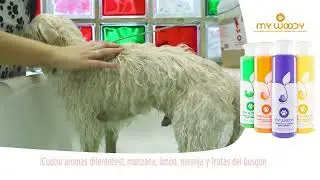 My Woody - Champú para perros