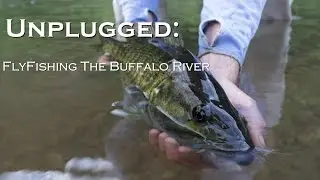 Fish The Buffalo River with Dally's Ozark FlyFisher