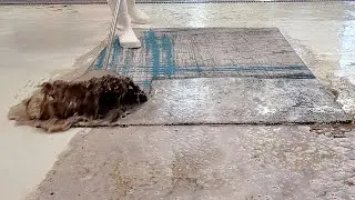 Satisfying carpet wash brings the colors back | satisfying | carpet cleaner