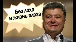 tronchain СКАМ!   КТО ВЫГРЕБ ВСЕ ДЕНЬГИ ДОВЕРЧИВЫХ ЛОХОВ?  