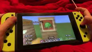 Spark Pets Add-on Review