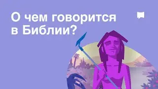 What does the Bible say?