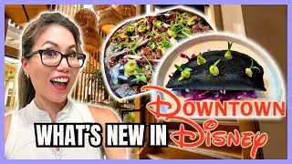 Disneyland 2024 | Downtown Disney Food | PASEO | Camping for Together Forever Firework | Solo Trip 🤩