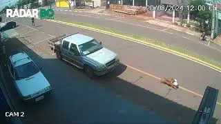 Câmeras flagram momento em que cachorro 'furta' marmita no Jardim Coopagro em Toledo