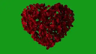 Rose petals heart green screen 