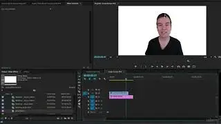 12- Green Screen Editing- Chromakeying in Premiere Pro- Premiere Pro CC for Beginners