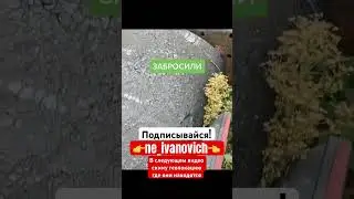 Нашел целый автопарк КАМАЗов! 